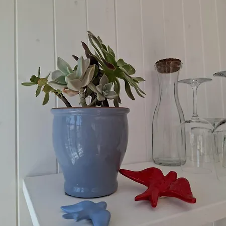 Casinha Do Chico Prázdninový dům