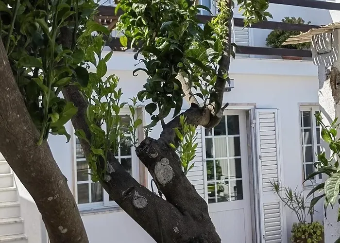 Ferienhaus Casinha Do Chico