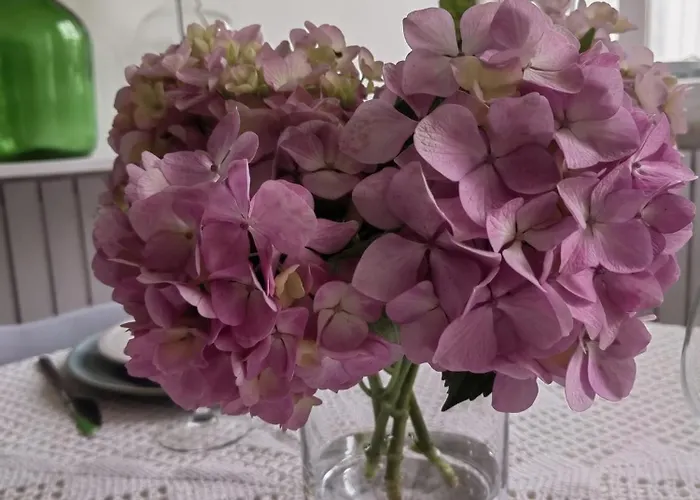 Casinha Do Chico Ferienhaus