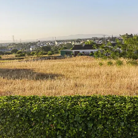 Casinha Do Chico Charneca