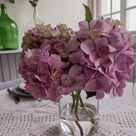 Casinha Do Chico Casa vacanze