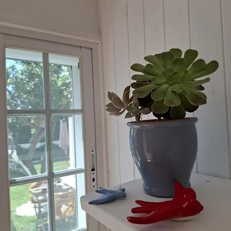 Casinha Do Chico Charneca (Setubal)